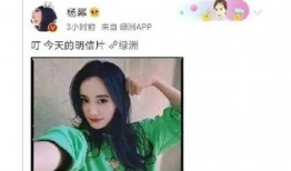 吃瓜网娱乐八卦视频下载,独家娱乐八卦视频下载攻略