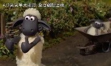 小羊爆料最新视频下载,精彩瞬间不容错过！