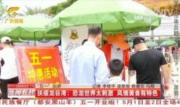 广西田林新闻爆料事件视频,事件视频引发社会关注